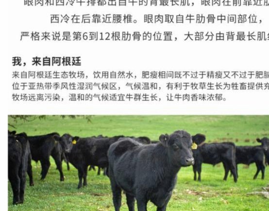 效仿上届的做法，阿根廷队这次也打算自备牛排带去世界杯